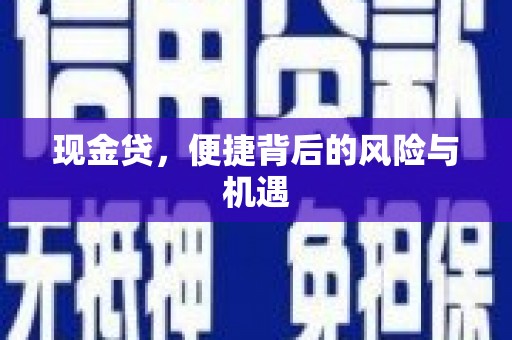 白云鄂博矿区现金贷，便捷背后的风险与机遇