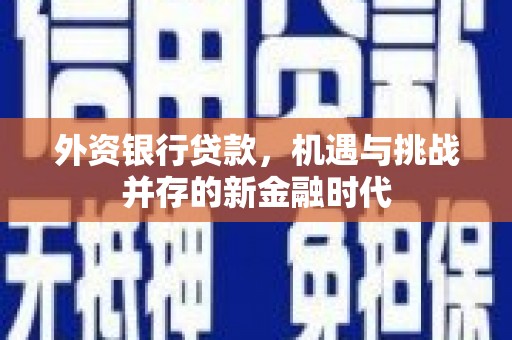 白云鄂博矿区外资银行贷款，机遇与挑战并存的新金融时代