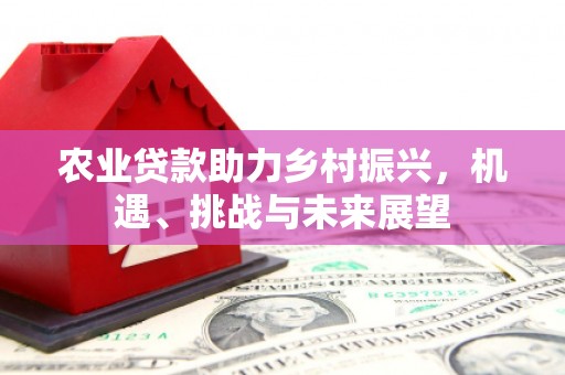 白云鄂博矿区农业贷款助力乡村振兴，机遇、挑战与未来展望