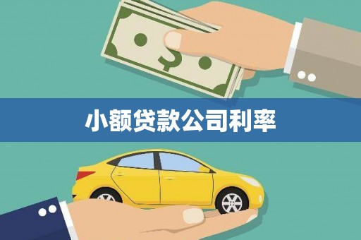 白云鄂博矿区小额贷款公司利率