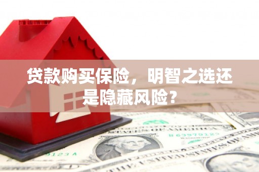 白云鄂博矿区贷款购买保险，明智之选还是隐藏风险？