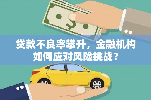 白云鄂博矿区贷款不良率攀升，金融机构如何应对风险挑战？