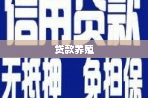 白云鄂博矿区贷款养殖