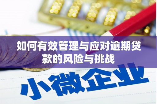 白云鄂博矿区如何有效管理与应对逾期贷款的风险与挑战