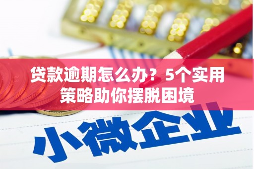 白云鄂博矿区贷款逾期怎么办？5个实用策略助你摆脱困境