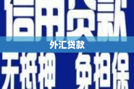 白云鄂博矿区外汇贷款