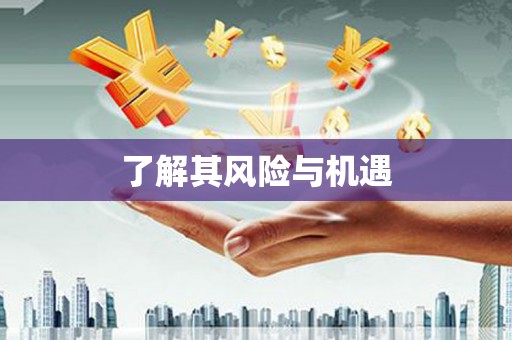 白云鄂博矿区了解其风险与机遇