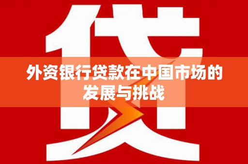 白云鄂博矿区外资银行贷款在中国市场的发展与挑战