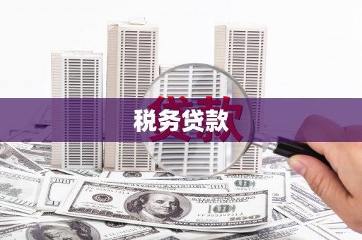 白云鄂博矿区税务贷款