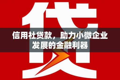 白云鄂博矿区信用社贷款，助力小微企业发展的金融利器