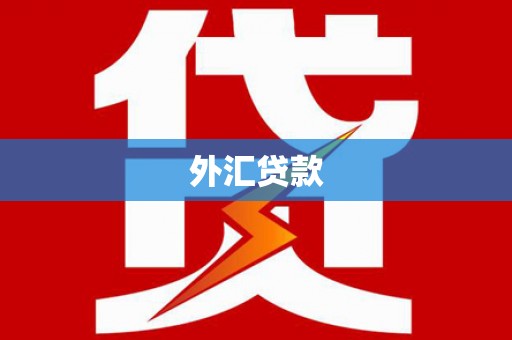 白云鄂博矿区外汇贷款