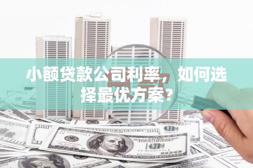 白云鄂博矿区小额贷款公司利率，如何选择最优方案？