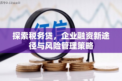 白云鄂博矿区探索税务贷，企业融资新途径与风险管理策略