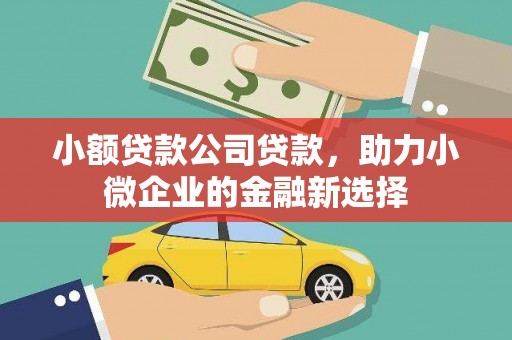 白云鄂博矿区小额贷款公司贷款，助力小微企业的金融新选择