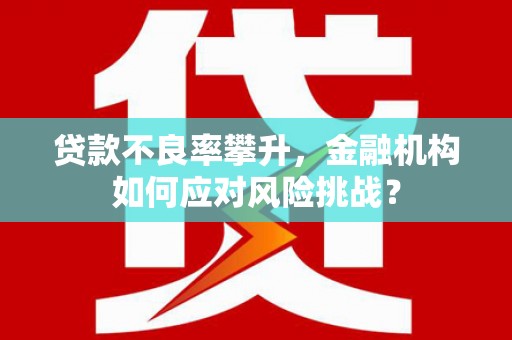 白云鄂博矿区贷款不良率攀升，金融机构如何应对风险挑战？