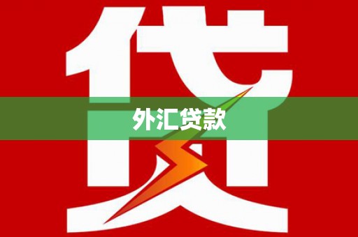 白云鄂博矿区外汇贷款