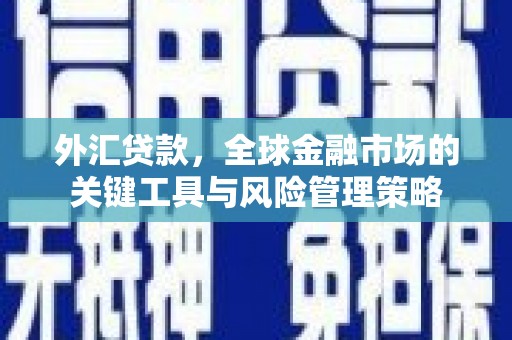 白云鄂博矿区外汇贷款，全球金融市场的关键工具与风险管理策略