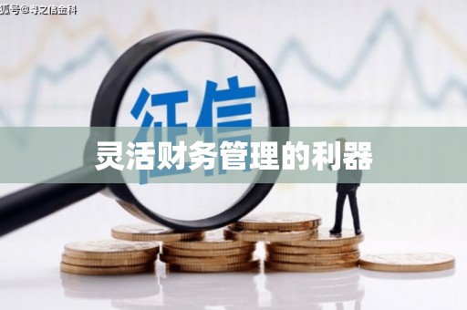 白云鄂博矿区灵活财务管理的利器