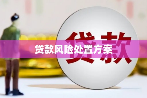 白云鄂博矿区贷款风险处置方案