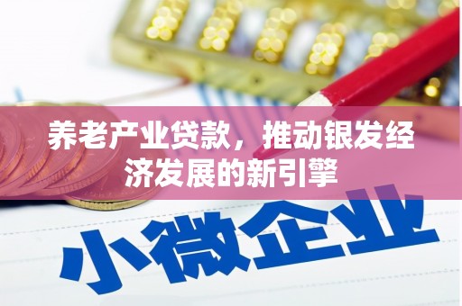 白云鄂博矿区养老产业贷款，推动银发经济发展的新引擎