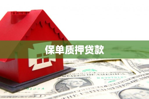 白云鄂博矿区保单质押贷款