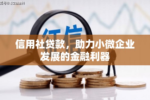 白云鄂博矿区信用社贷款，助力小微企业发展的金融利器