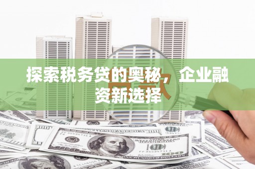 白云鄂博矿区探索税务贷的奥秘，企业融资新选择