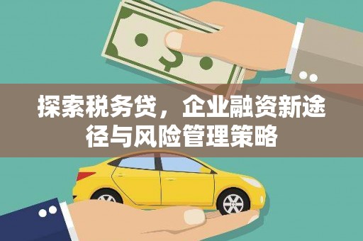 白云鄂博矿区探索税务贷，企业融资新途径与风险管理策略