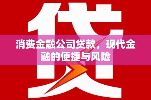 白云鄂博矿区消费金融公司贷款，现代金融的便捷与风险