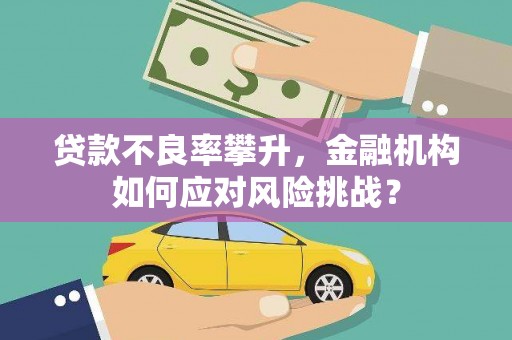 白云鄂博矿区贷款不良率攀升，金融机构如何应对风险挑战？