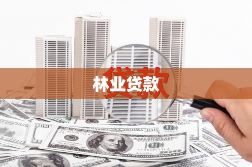 白云鄂博矿区林业贷款