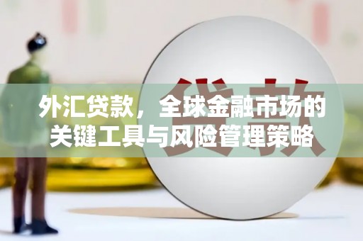 白云鄂博矿区外汇贷款，全球金融市场的关键工具与风险管理策略