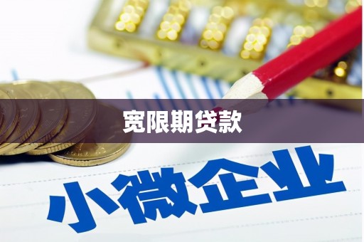 白云鄂博矿区宽限期贷款