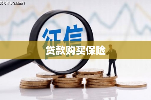 白云鄂博矿区贷款购买保险