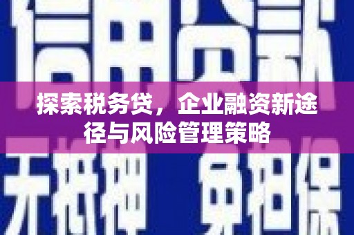 白云鄂博矿区探索税务贷，企业融资新途径与风险管理策略