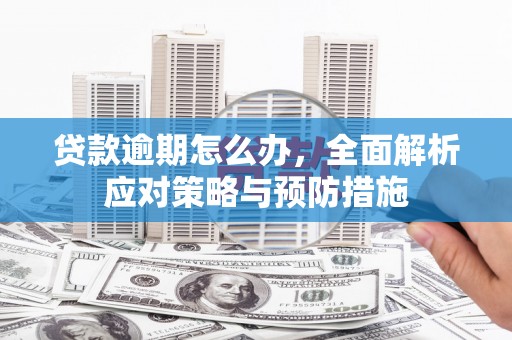 白云鄂博矿区贷款逾期怎么办，全面解析应对策略与预防措施