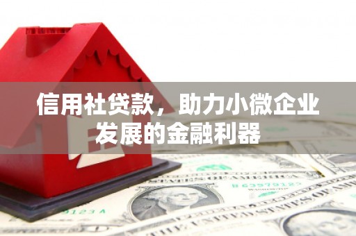 白云鄂博矿区信用社贷款，助力小微企业发展的金融利器