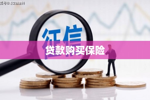 白云鄂博矿区贷款购买保险