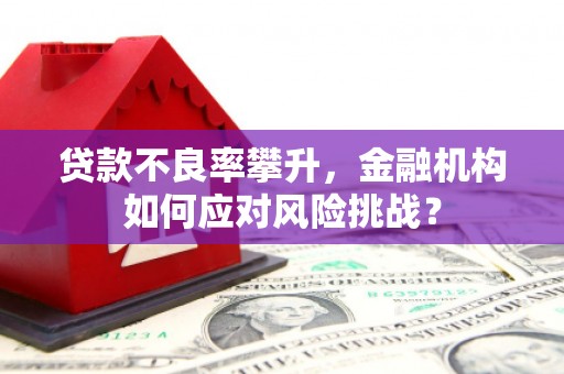 白云鄂博矿区贷款不良率攀升，金融机构如何应对风险挑战？