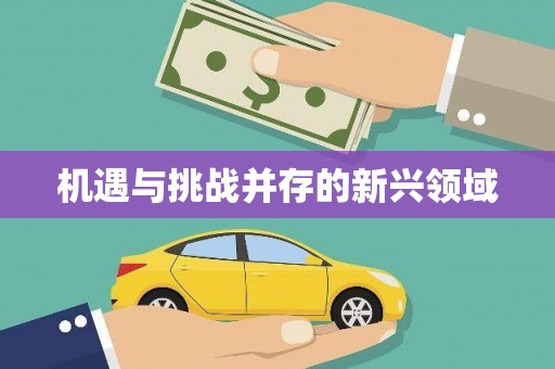 白云鄂博矿区机遇与挑战并存的新兴领域